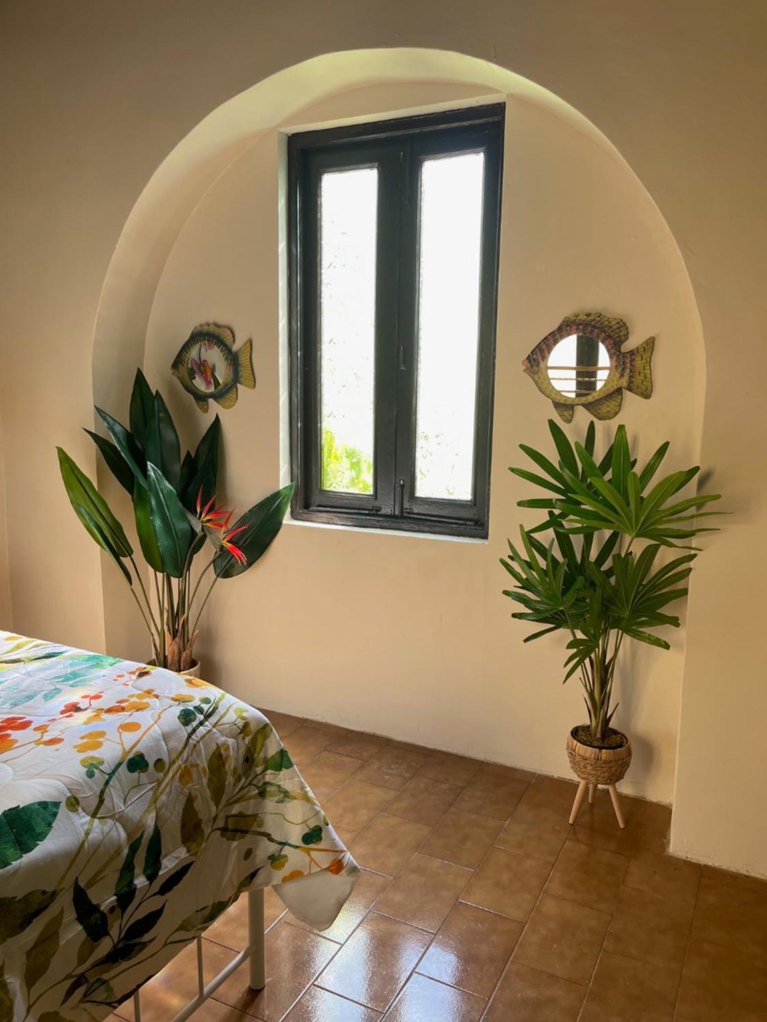 The Garden Apartment, The Willow Apartment, & The Tropical Apartment At Casa Of Essence In Old Сан-Хуан Экстерьер фото